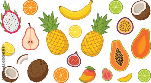 Colorful Tropical Fruit Illustration Set with Pineapple, Banana, Papaya, Coconut, Mango, Citrus and Exotic Sliced Fruits for Healthy Food Design