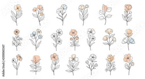 Charming collection of delicate hand drawn wildflowers featuring thin black outlines and soft pastel color washes for elegant designs.