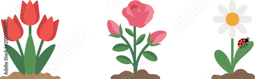 Colorful spring garden flower set with red tulips pink rose and white daisy with ladybug vector illustration for floral designs and nature concepts