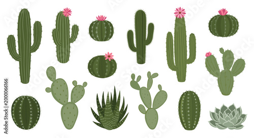 diverse collection of green cactus and succulent plants is shown in various shapes, some adorned with small pink blossoms.