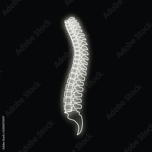 Human spine glowing bones in x ray style on black background for medical concepts