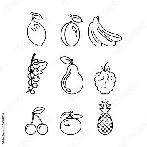 simple black and white line art fruit vector