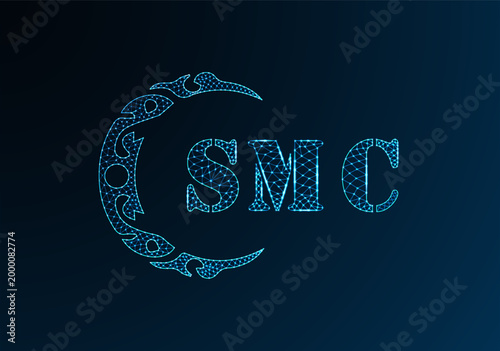 Canvas-taulu Low poly letter logo SMC design