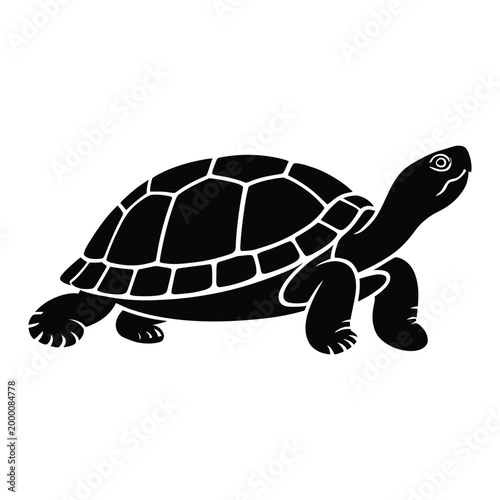 Turtle with Detailed Shell Pattern in Natural View Vector, Silhouette, Illustration