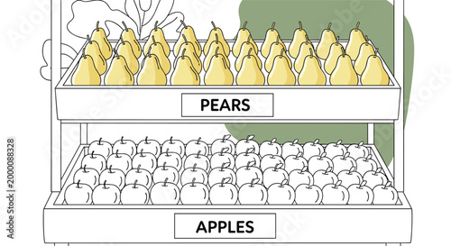 Shelves of a fruit stand are filled with many yellow pears and white apples in a neat and organized display for sale.