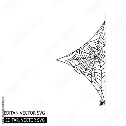 Spider web corner, spider, Halloween decoration, vector illustration