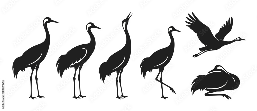 Obraz premium Crane bird silhouette collection, set of standing, flying and resting cranes in minimalist black design isolated on white background for nature logo or icon graphics, elegant wildlife vector art style