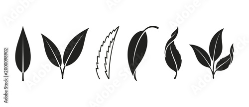Leaf icon set, black silhouette shapes for design, nature elements collection, foliage graphic symbols, vector illustration isolated on white background for ecological branding and organic projects co