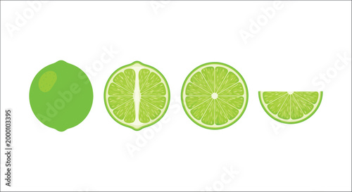 Lime fruit illustration with slices isolated on white background