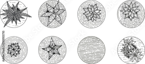 Eight oval microscopic view illustrations of cells with varied patterns and textures