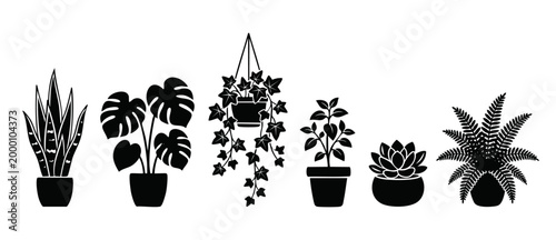 Houseplants set silhouette collection, potted indoor plant icons, monstera ivy fern snake plant and succulent, flat black graphic vector illustration for interior design, botanical decor elements set.