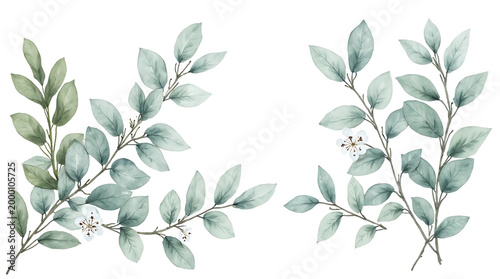 Watercolor branches with green leaves and small flowers on stem