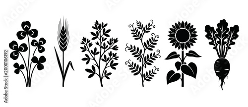 Plant Silhouette Set: Clover Wheat Herb Vine Sunflower Radish Icons. Vector collection of black farm crops, garden vegetables, and wildflowers for organic food, natural agriculture, and botanical desi