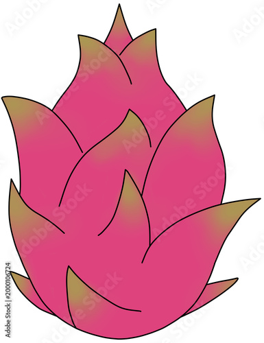 dragon fruit