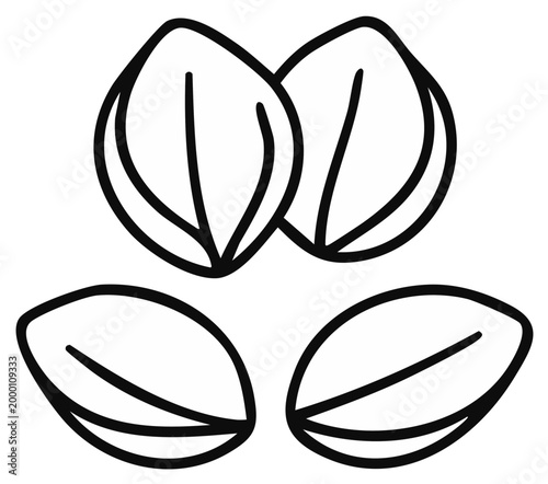 Simplified line drawing of four seeds. Outlines of edible plant kernels for botanical reference and food illustrations.