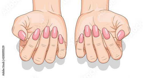 Illustration of two close-up manicured hands with pink nails, palms facing upward against a clean white background