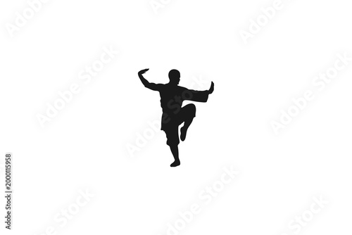 Martial arts master silhouette performing a traditional kung fu stance
