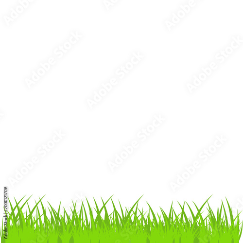 Green Grass Border Illustration