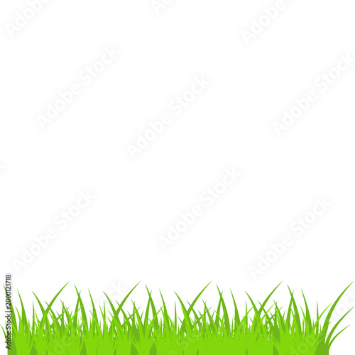 Green Grass Border Illustration