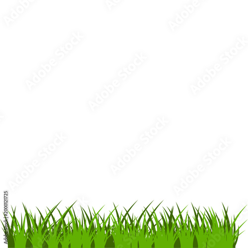 Green Grass Border Illustration