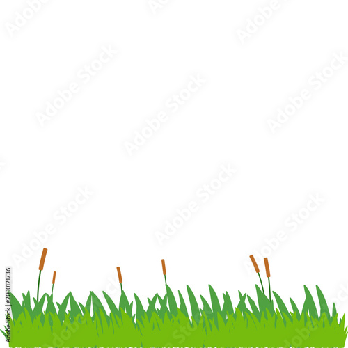 Green Grass Border Illustration