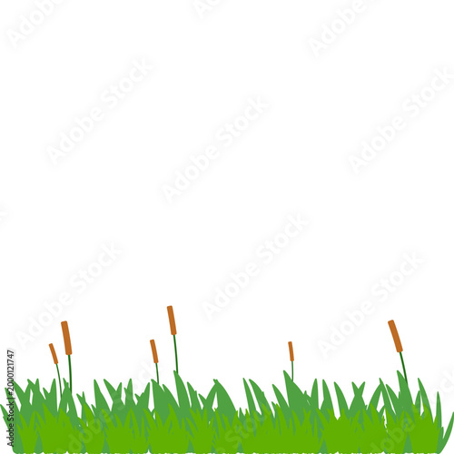 Green Grass Border Illustration