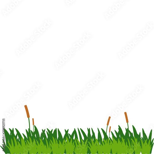Green Grass Border Illustration