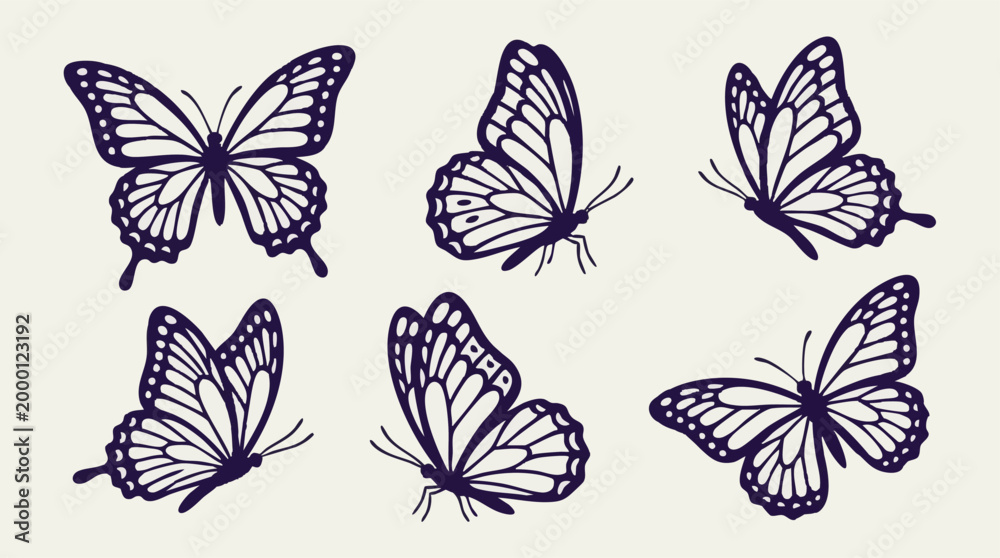 Fototapeta premium Set of elegant butterfly vector illustrations in various flight poses