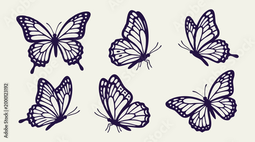 Set of elegant butterfly vector illustrations in various flight poses
