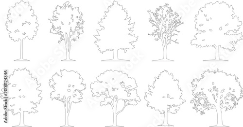 Minimalist tree line art collection, set of 10 deciduous tree vector icons, simple black and white botanical outlines for architectural site plans