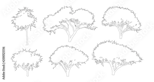 Minimalist tree line art collection, set of 6 hand drawn tree silhouettes, black and white botanical vector illustrations for architectural site plans