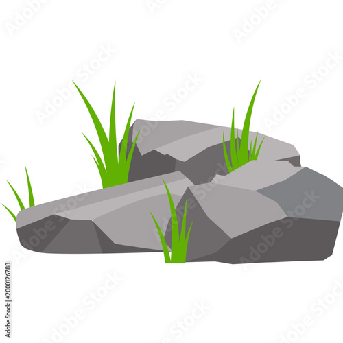 Rock with Grass Illustration