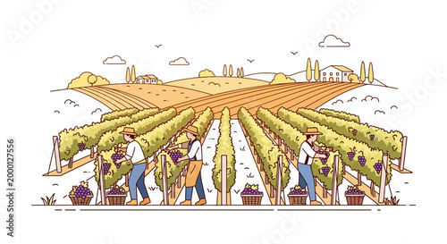Illustration of people working in a vineyard with rows of grapevines and a rural landscape in the background under a sunny sky.