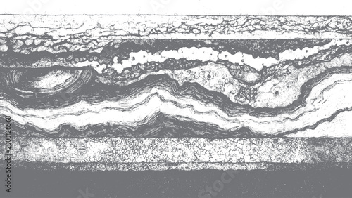 Continuous wood grain pattern with nature inspired texture Seamless timber texture with realistic bark effect