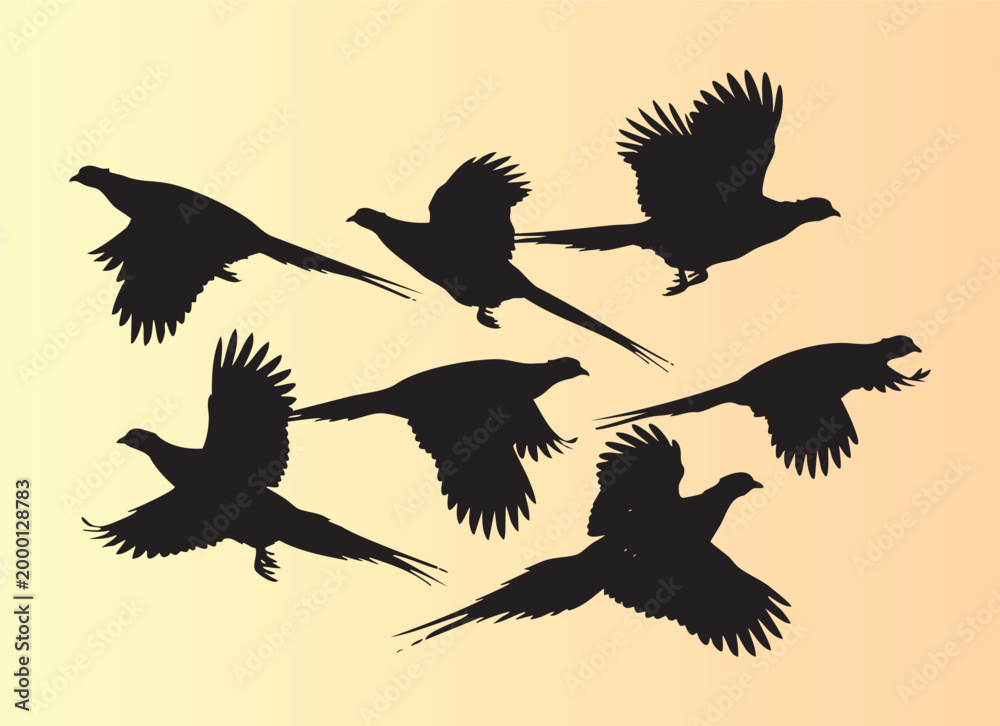 Fototapeta premium Elegant black silhouettes of flying pheasants in various dynamic poses isolated illustration