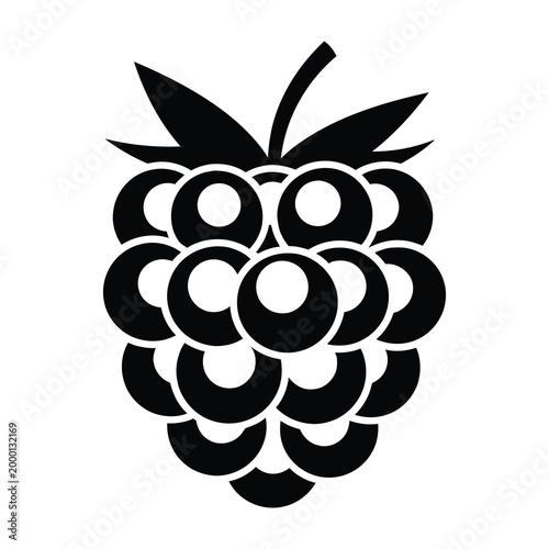 Blackberry fruit icon silhouette