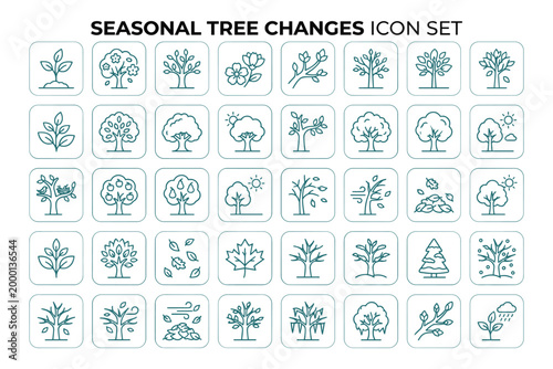 Seasonal tree changes icon set vector illustration depicting foliage transformation through seasons.