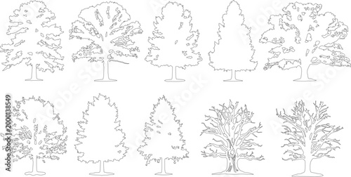 Minimalist tree outline vector set, 10 deciduous and evergreen tree silhouettes, black and white line art nature icons for landscape design