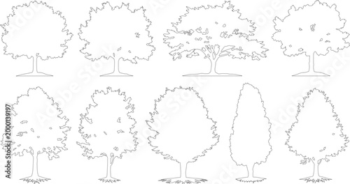 Minimalist tree outline icons, set of 9 deciduous tree vector silhouettes, thin line art nature symbols for architectural site plans and landscaping