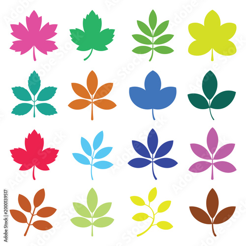 Collection of various colorful autumn leaves, diverse shapes and vibrant hues, isolated vector elements for seasonal design.
