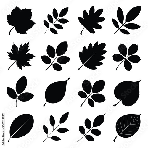 Collection of various black silhouette autumn leaves, diverse shapes, isolated vector elements for seasonal design.