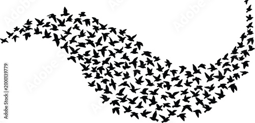 A large, swirling formation of countless black bird silhouettes taking flight across a white background, conveying a sense of mass migration, liberation, and overwhelming natural movement.