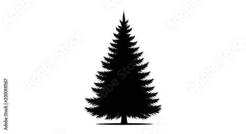 Detailed black silhouette of a coniferous evergreen tree a classic pine or fir isolated against a clean white background representing nature winter and the outdoors