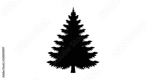 Black silhouette of a coniferous evergreen tree representing nature winter and seasonal holidays isolated on a clean white background with detailed branches and a classic conical