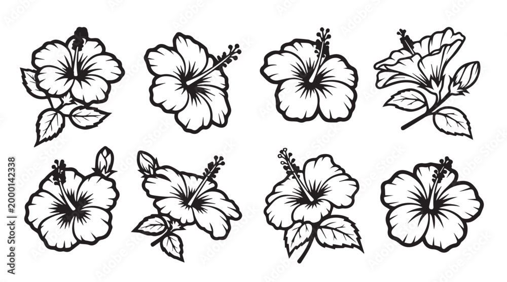 Obraz premium Collection of stylized hibiscus flowers with leaves in a clean black and white graphic design style