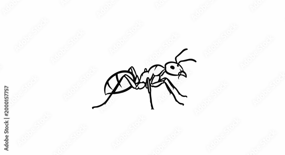 Fototapeta premium Black and white illustration of an ant with segmented body and antennae