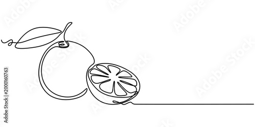 orange fruit continuous one line drawing, Orange continuous single line drawing, One line art orange fruit vector illustration, Continuous one line drawing of orange fruit, Orange fruit in continuous