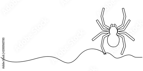 Hand drawing one line of spider ghost isolated on white background, A minimalist black spider drawn with a single continuous line on a delicate thread against a white background, Continuous one line