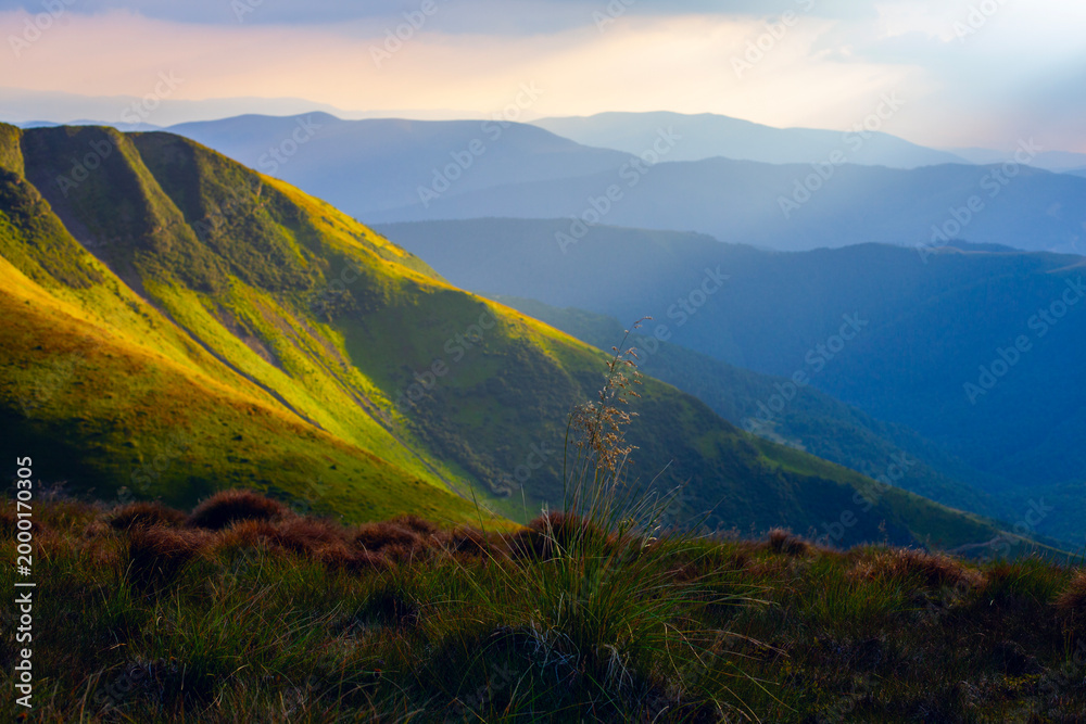 Obraz premium Sunrise over the Carpathian mountains, view from mountain Zhandarm mountains peak. Dragobrat, Ukraine.