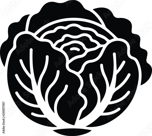 Black crispy fresh cabbage head vegetable silhouette vector icon